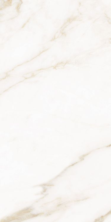 Classy Warm White Matte 12 x 24
